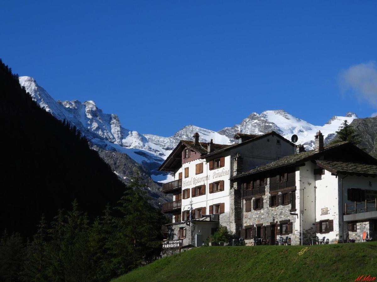 Paradisia Cogne