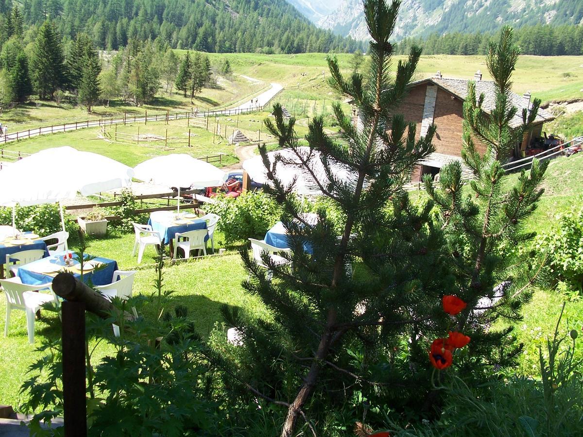 Hotel Paradisia