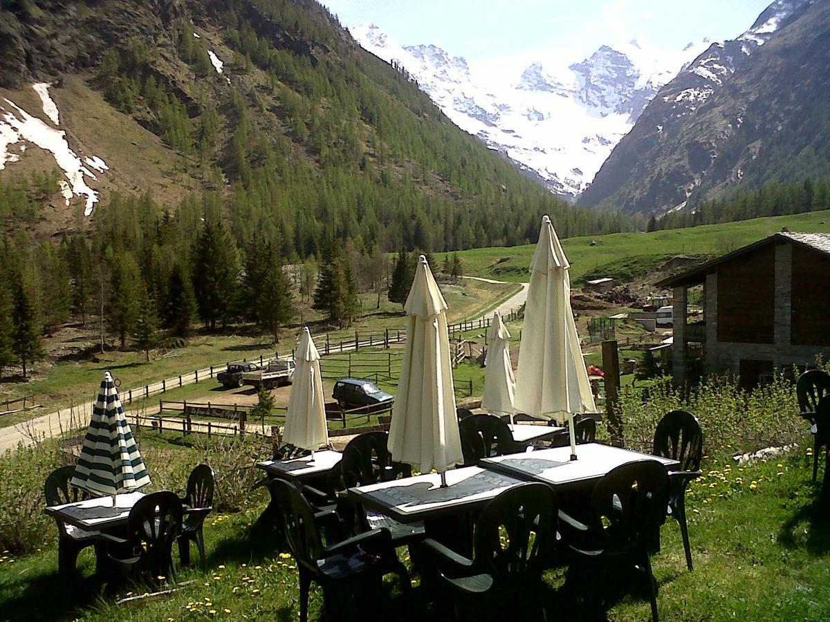 Paradisia Cogne