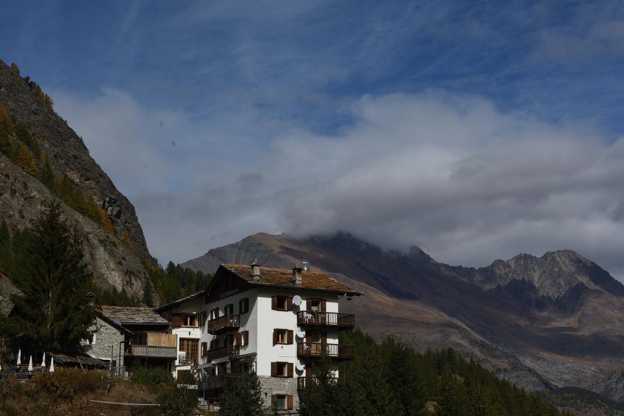 Paradisia Cogne
