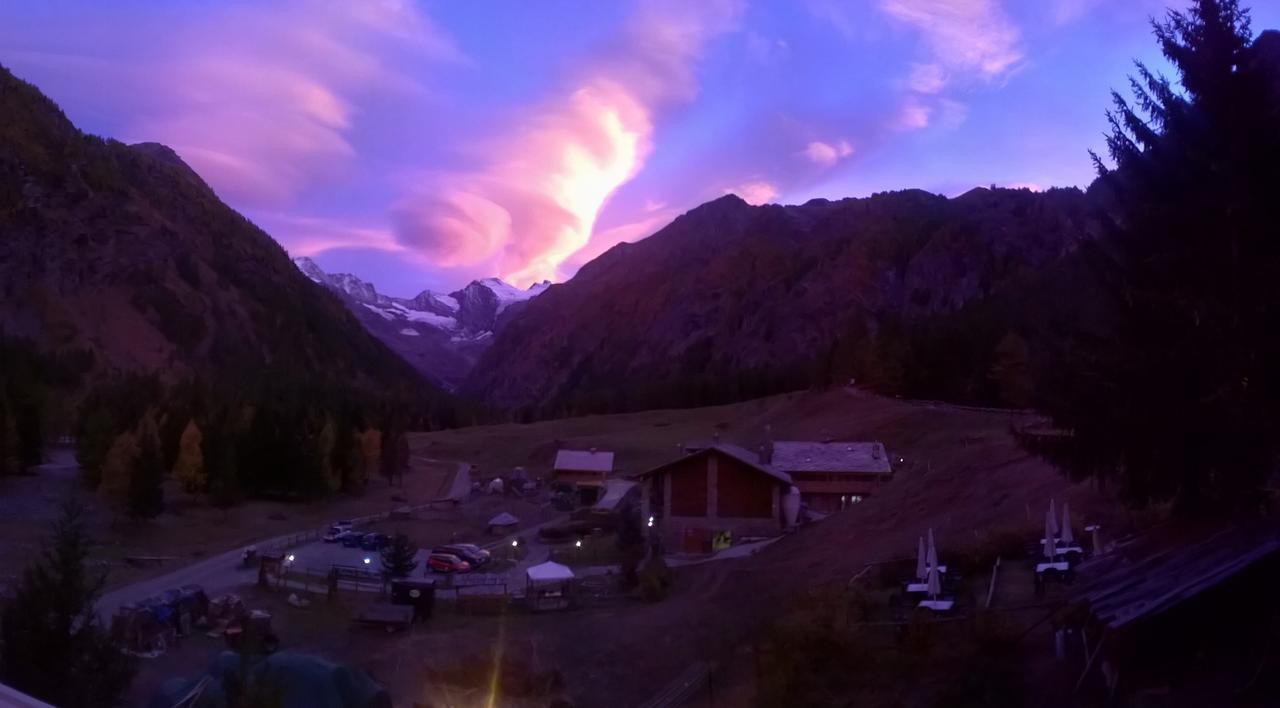 Paradisia Cogne