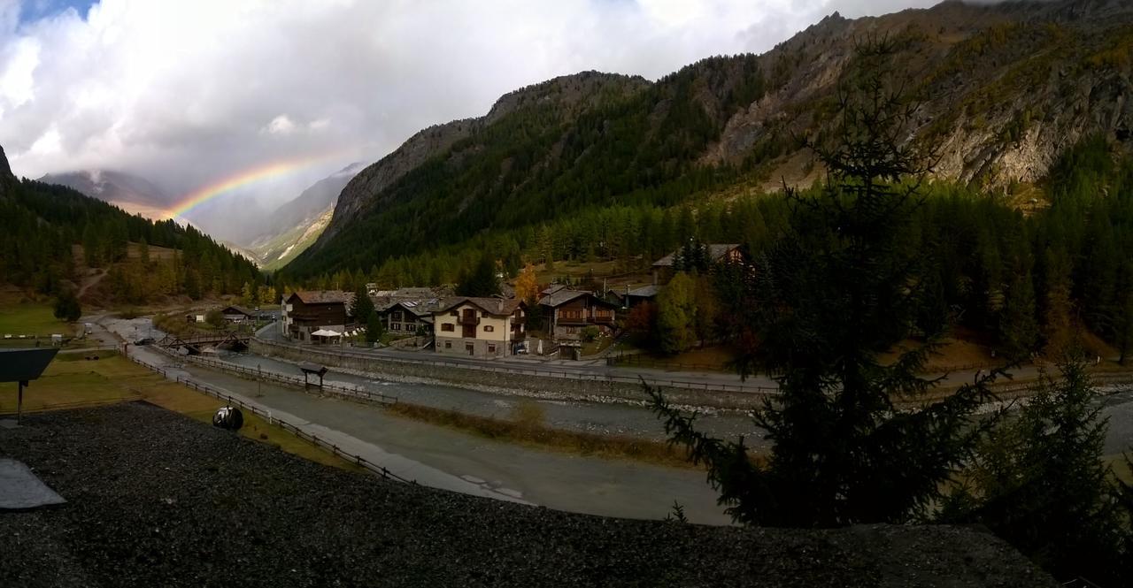 Paradisia Cogne